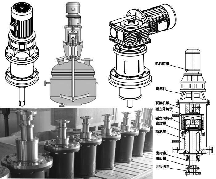 Magnetic coupling - Chemical Reactor Magnetic Drive Series