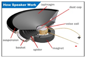 speaker magnet.jpg