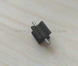 Injeksjon成型Magnetisk Vannrotor