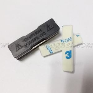 Plastdeksel钕铁硼磁铁名字徽章